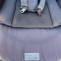 サイベックス　メリオカーボン　2022 ブラック　の画像