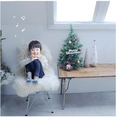 省スペースナチュラルハーフツリーの画像