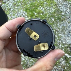 ホーンボタンの画像