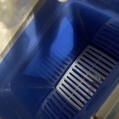 ミルトン専用容器の画像