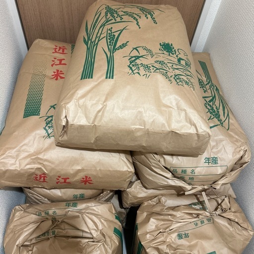 新米　近江今津産　コシヒカリ　玄米30kg 令和7年産　