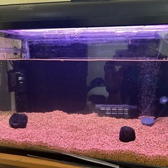 GEX ベストサンド 6ℓの画像