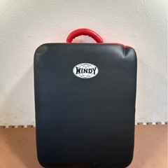 WINDY LKP ビックミットの画像