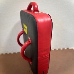 WINDY LKP ビックミットの画像