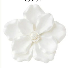 《美品》フランフランウォールフラワーセットの画像