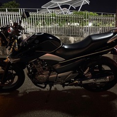 GSR250の画像