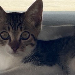 2025年　春に産まれた子です