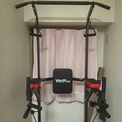 懸垂マシーン&保護マットの画像