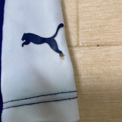 PUMA 水着　の画像