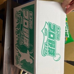 未開封！プロ野球チップスカード6袋12枚セットの画像