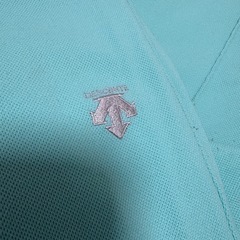 デサント　ミントグリーン　ジャージセットアップの画像