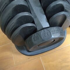 可変式ダンベル(24kg×２個)　値下交渉可の画像
