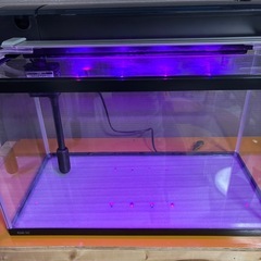 60 水槽セットの画像