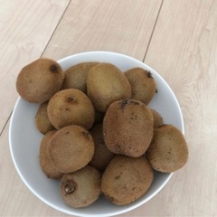 【無農薬】期間限定‼️キウイ🥝フルーツ❣️1キロ単位で、注文お願い致します🙇の画像