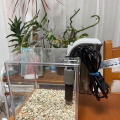 水槽 セット　静かなフィルター付き の画像