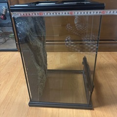 中古　
爬虫類ケージ　ジェックス GEXの画像