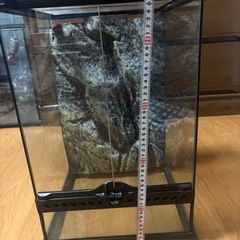 中古　
爬虫類ケージ　ジェックス GEXの画像