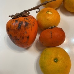 みかん6個と柿2個の画像