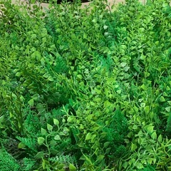 【受け渡し者決定済】
ウォールグリーン ナチュラル 50×50cm 4枚セット フェイクグリーン グリーンカーテン 人工観葉植物 ジョイント式の画像