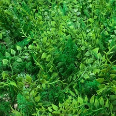 【受け渡し者決定済】
ウォールグリーン ナチュラル 50×50cm 4枚セット フェイクグリーン グリーンカーテン 人工観葉植物 ジョイント式の画像