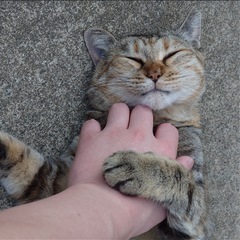 本日名古屋で暇な人