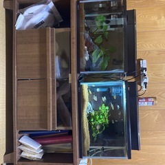 水槽セットの画像