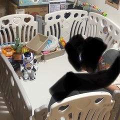 ベビーサークルと小さい三輪車の画像