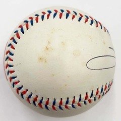 サミー・ソーサ  サインボール 66HR記念 MLB メジャーリーグの画像