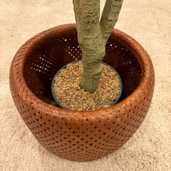 フェイクグリーン　ドラセナ　130-140cmの画像