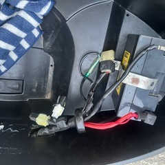 シグナス3型（短期出品） の画像