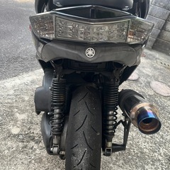 シグナス3型（短期出品） の画像