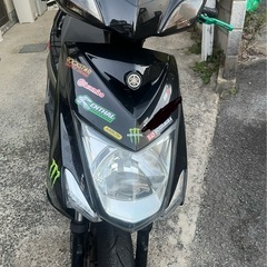 シグナス3型（短期出品） の画像