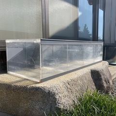 130仕切り水槽の画像