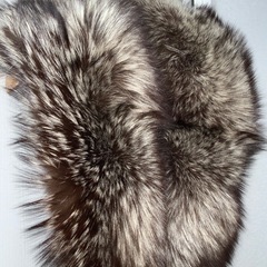 成人式首元ファー　SAGAFOX の画像