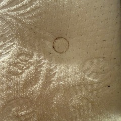 無料N-Sleep ダブルマットレスの画像