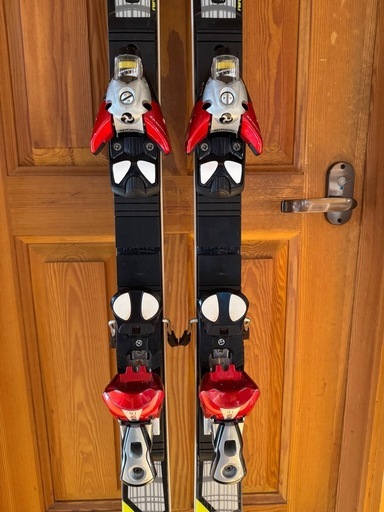 FISCHER RC4 ＧＳ　183cm