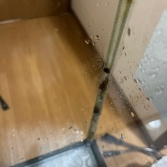 週末限定✨ガラス水槽60 メガパワー外部式フィルターLEDライトクリアパワーセットの画像