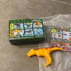 アニアキングダムの画像