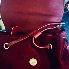 ワインカラ🍷リュックの画像