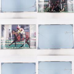 [10点セット] 競馬 ジグソーパズル 完成品 額入り サイレンススズカ マヤノトップガン ダンスインザダーク サクラローレル サニーブライアン ナリタブライアン ほかの画像