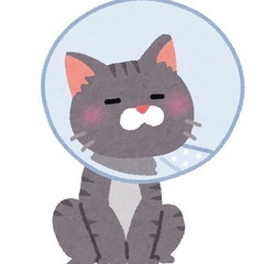 猫用のエリザベスカラー下さい