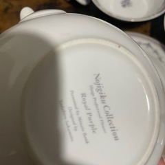 ノジギクコレクションの画像