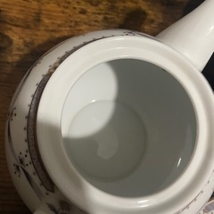 ノジギクコレクションの画像