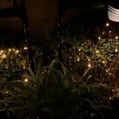 ソーラー充電タイプ・イルミネーションライト・200球の画像