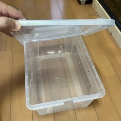 爬虫類飼育ケージ
の画像