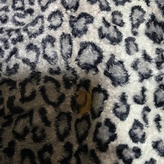 豹柄　布の画像
