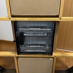 リビングこたつ（ニトリ）の画像