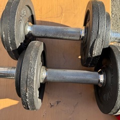 BICUNITED ダンベルの画像