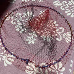 ファイアブラッド　チタンタモ網　50せ50センチの画像