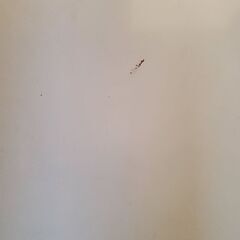 昔からあるローテーブルの画像